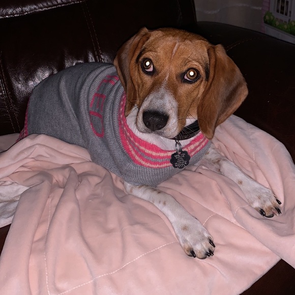 Meet your Posher, Charity - Picture 2 of 2